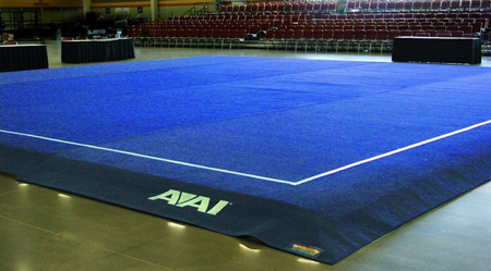 AAI Elite Carpet