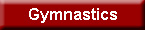 Gymnastics Equipment