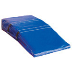 Vaulting Board Tote