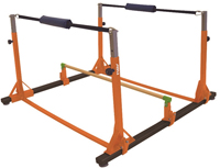 E - Elite Kids Double Handstand Bouncer - AAI