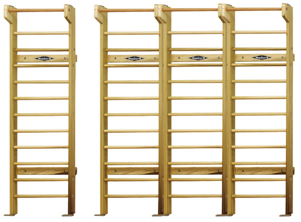 How+To+Build+Gymnastics+Bars How To Build Gymnastics Bars http://www.theamericangym.com/proddetail ...