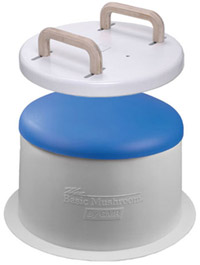 Basic Mushroom & Pommel Top
