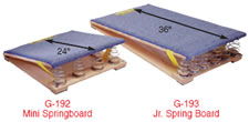 Springboard - Trainers