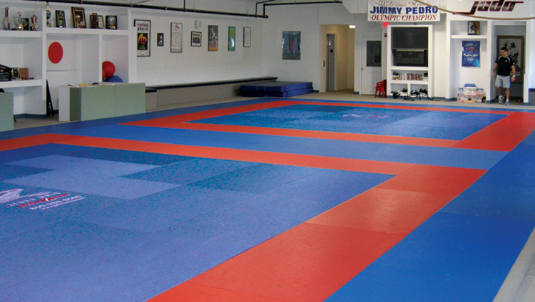 Mixed Martial Arts Mat Segments
