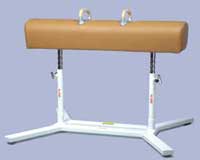 Competition Pommel Horse