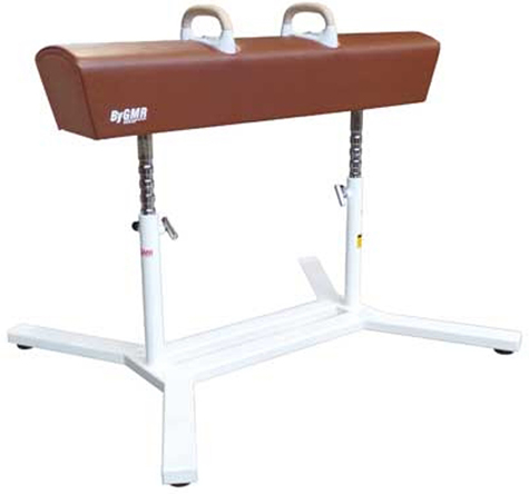 Competition Pommel Horse