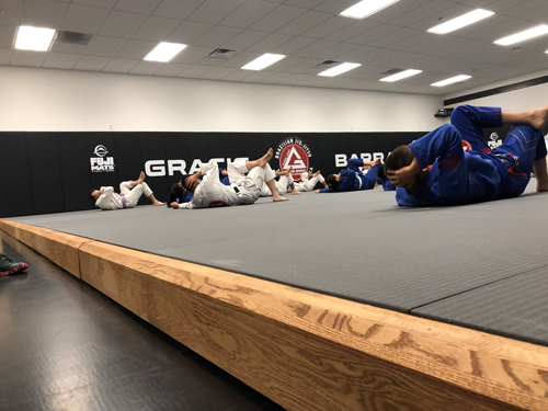 Martial Arts Spring Floor